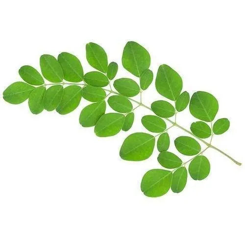 Moringa leaf | 200gm | Panchmul® 100% Natural